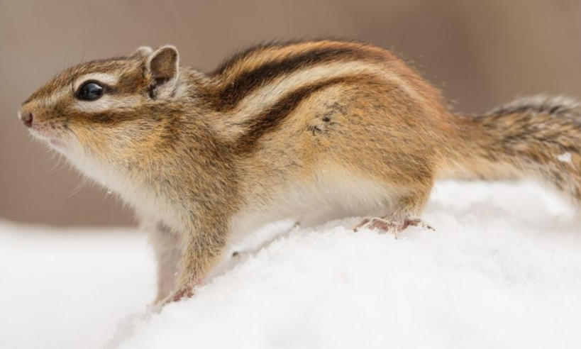 安徽中讯网联信息技术有限公司轮播图3